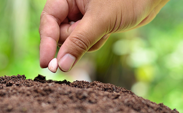 Política Medioambiental